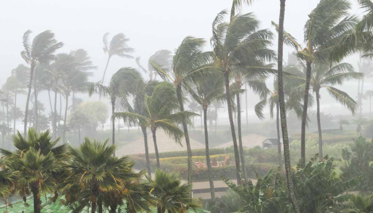 The Deadliest Storm in History: The Great Bhola Cyclone - Weather Pro Live