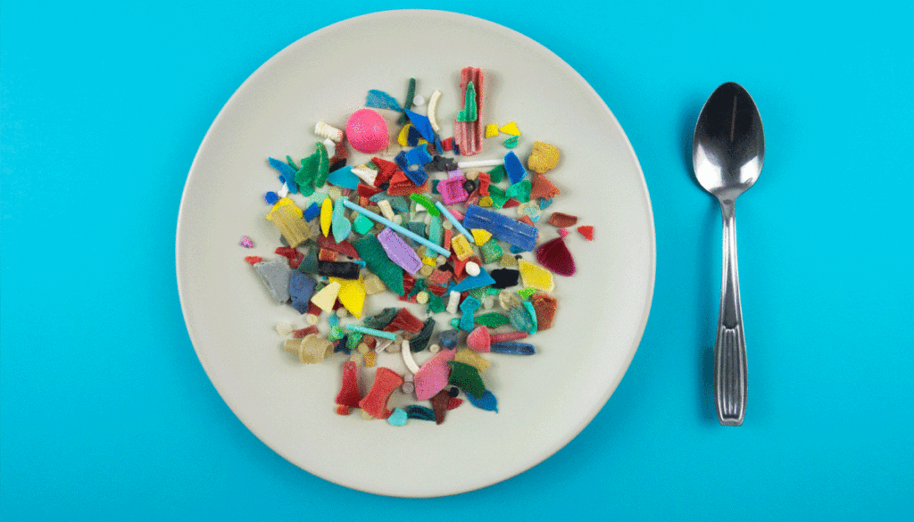 microplastics-on-plate