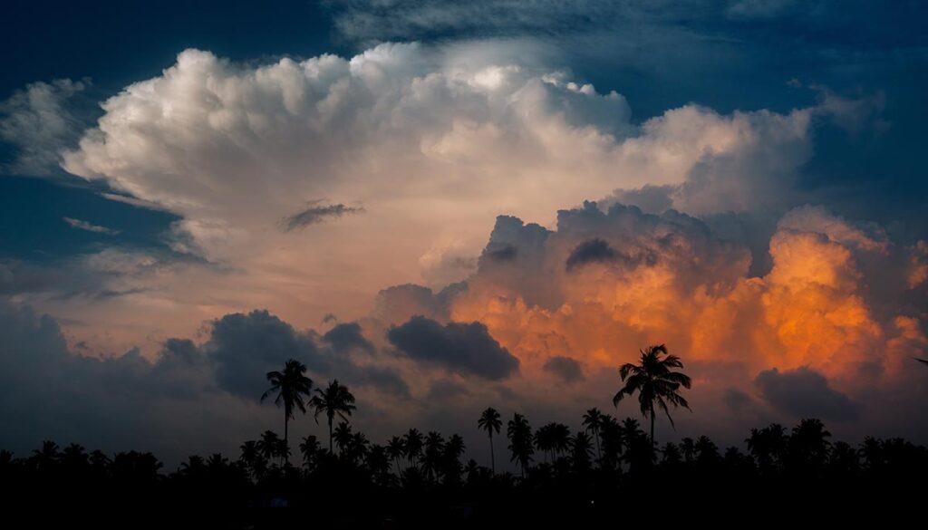 Palm trees silhouettes on the sunset cumulus clouds