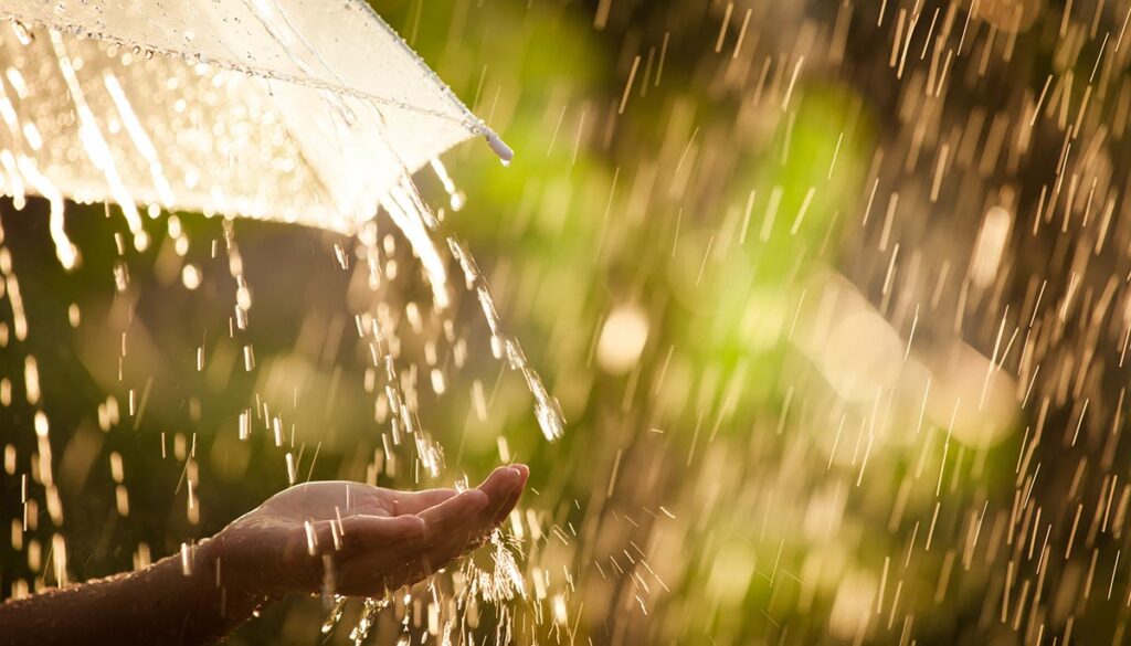 Woman hand with umbrella in the rain in green nature background