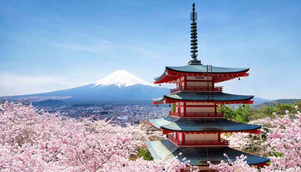 Chureito Pagode and Mount Fuji with cherry blossom tree during spring season