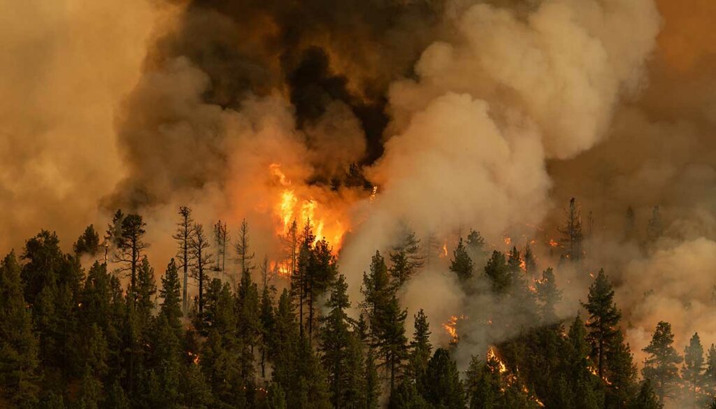 Markleeville, California USA - July 17, 2021: The Tamarack Fire burns on the eastern edge of California just south of Lake Tahoe.