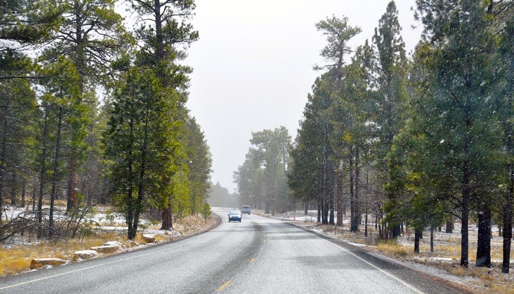 light snow falling over a road