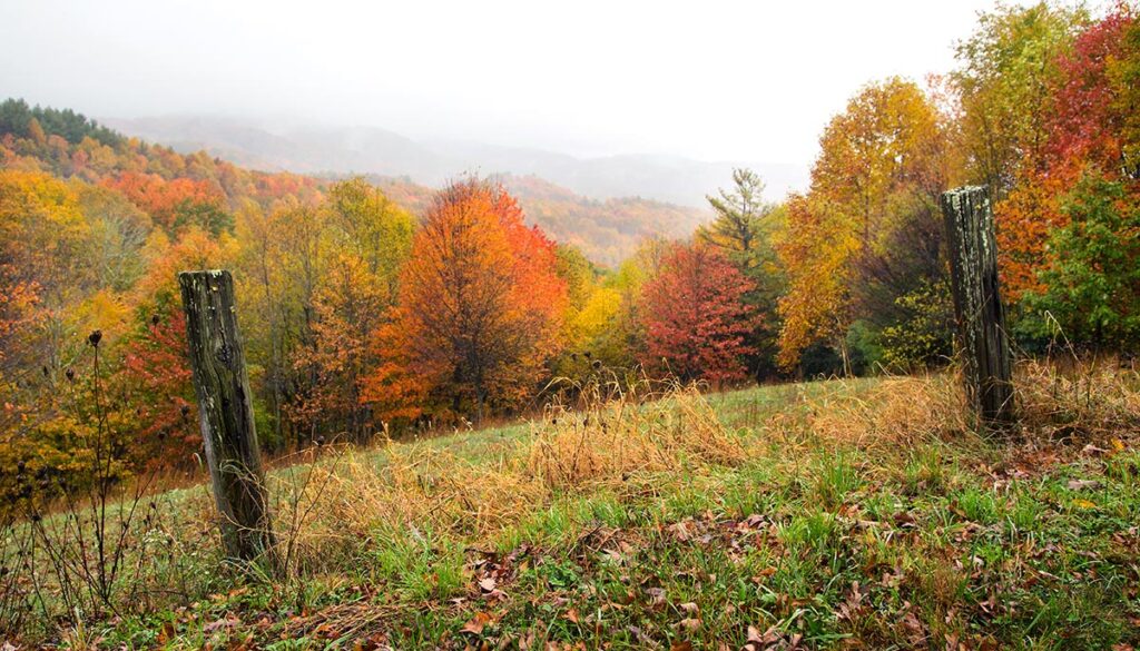 A misty fall landscape